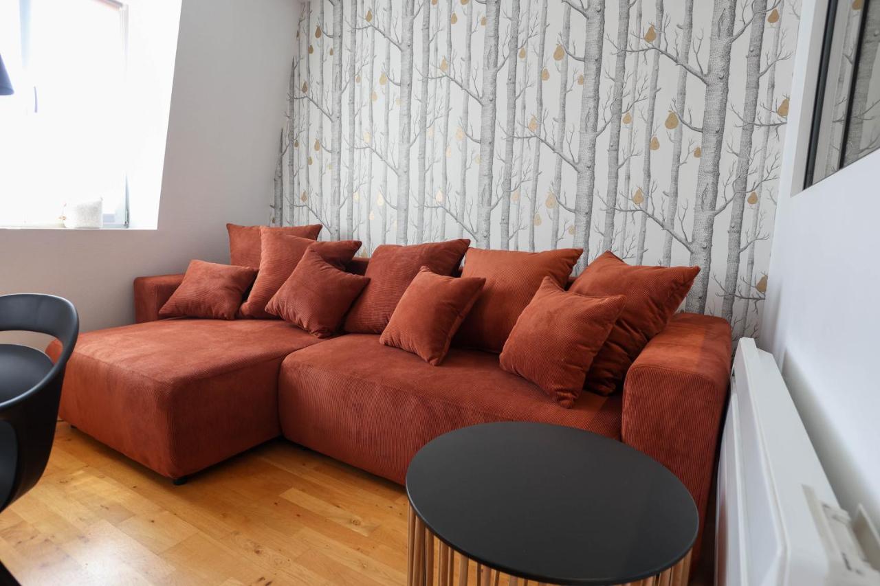 Appartement Le Verdoyant Hyper Centre Avec Sauna Et Parking 콜마 외부 사진